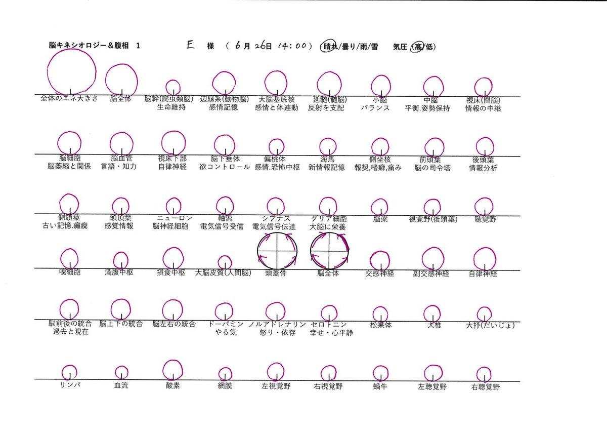 E様脳キネ腹相チェック１ビフォー (1)