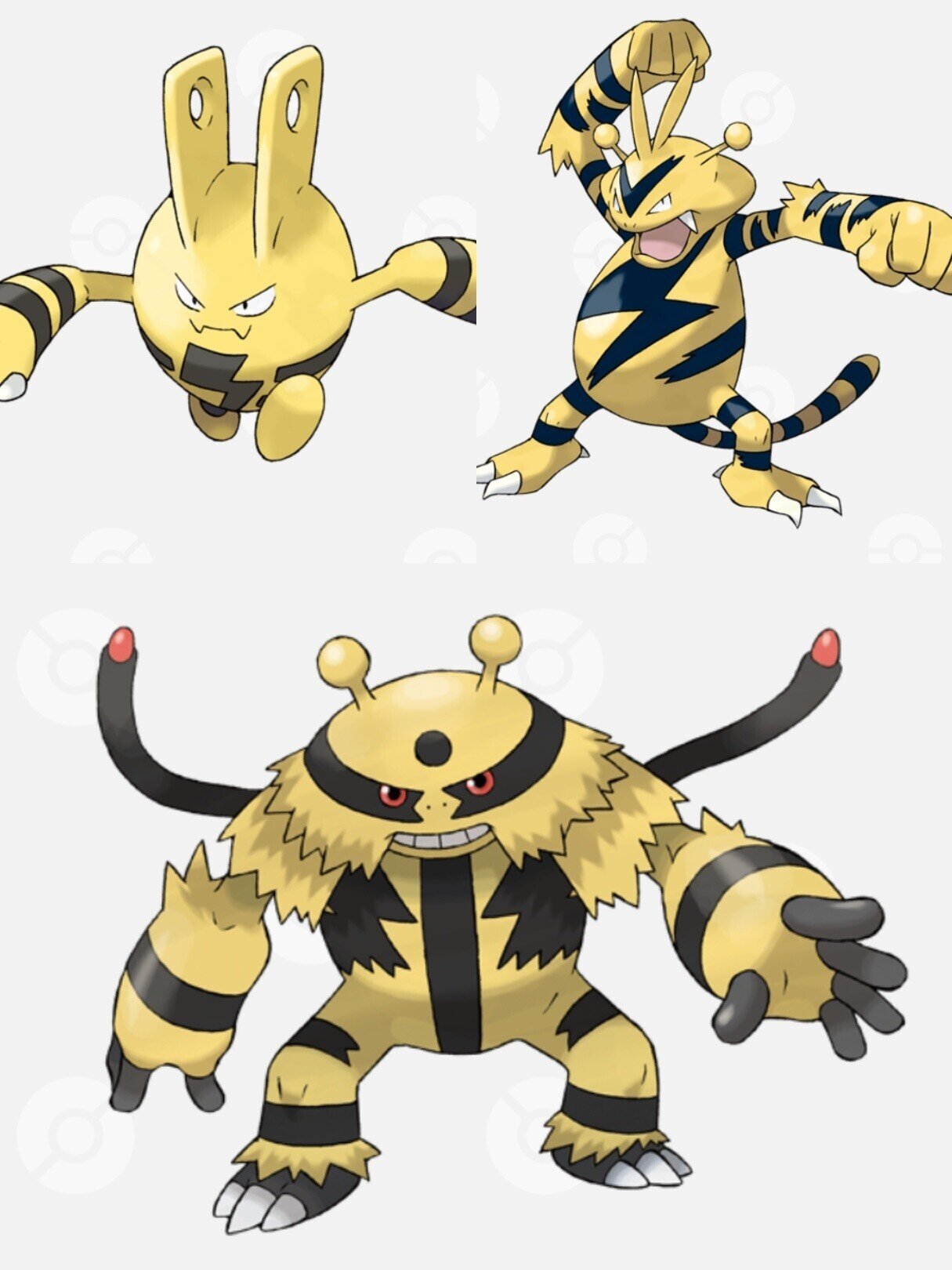 分類マニアならすべての分類について語れる説 でんきタイプ編 リユルン Note 分類マニアならすべての分類について語れる説 でんきタイプ編 リユルン Note