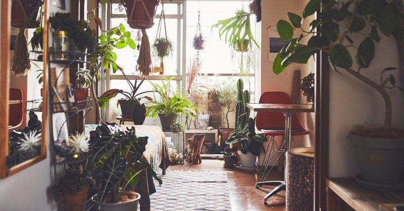 観葉植物を枯らさないたったひとつの方法 Shinpei Note
