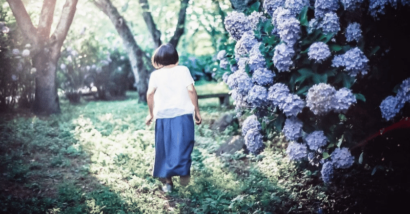 【ご感想】お母さんの死を受け容れる