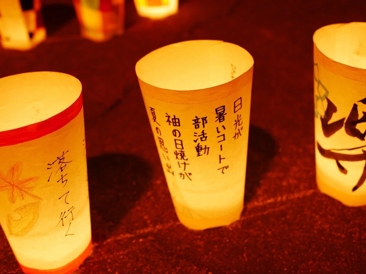 画像14