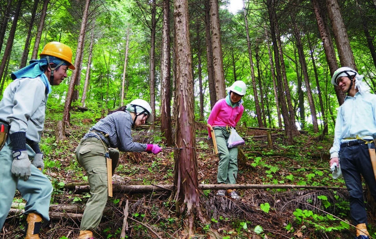 写真2森をめぐる市民参加のかたち_内山