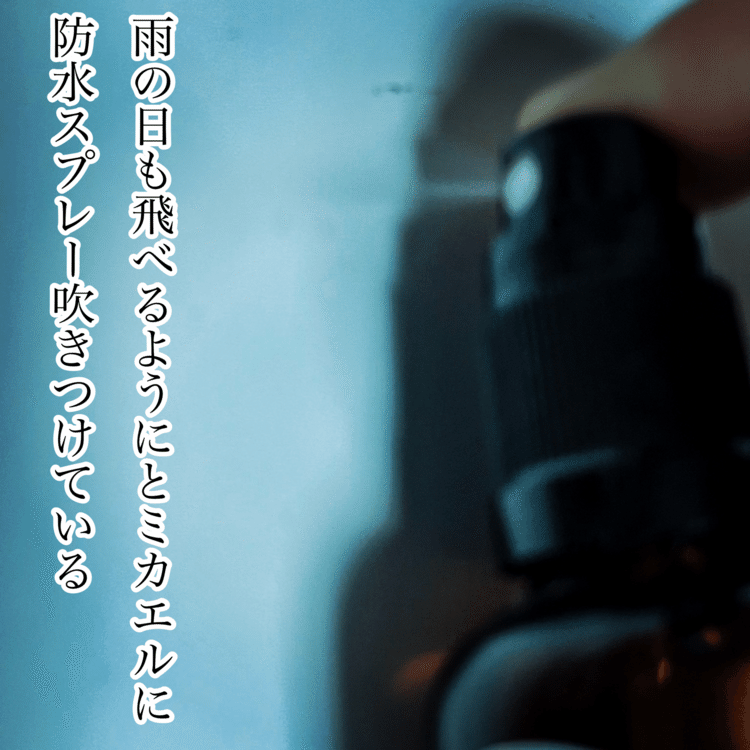 雨の日も飛べるようにとミカエルに防水スプレー吹きつけている　　　   #短歌 #短歌写真部 #NHK短歌 #tanka #短歌フォト