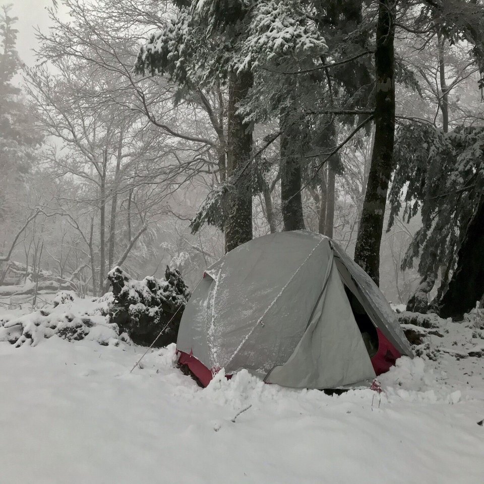 MSR エリクサー2」と、スタッフ田村の変わらないキャンプスタイル