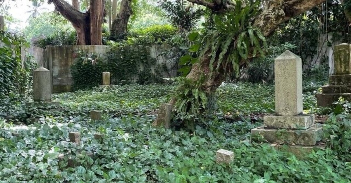 廃盤希少　光りの墓('15タイ/英/仏/独/マレーシア) 廃盤希少 光りの墓('15タイ/英/仏/独/マレーシア) 廃盤希少 光り