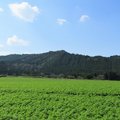 僕がアトレティコで学んだすべてを伝えていく Ruy Miyagawa 宮川類 Note