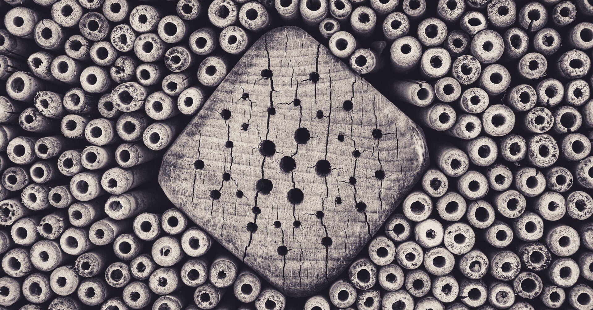 動画を見てすぐにチェックできる トライポフォビア チェック 星野 未来 Amazon電子書籍発売中 観る 聴く小説 笑顔で涙 配信中 Note 動画を見てすぐにチェックできる トライポフォビア チェック 星野 未来 Amazon電子書籍発売中 観る 聴く小説 笑顔で涙 配信中 Note