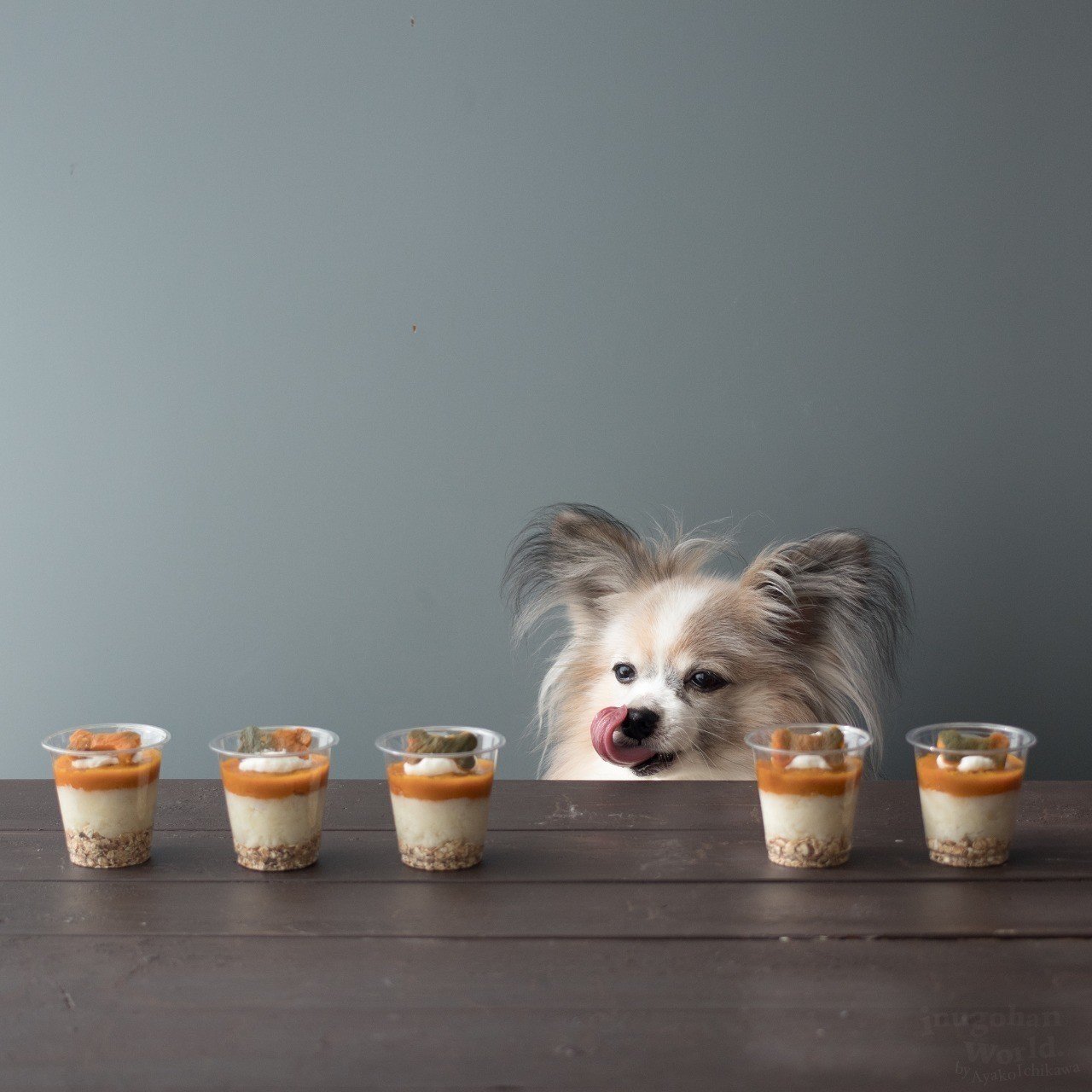 つぶして詰めるだけ かぼちゃとポテトのパフェ 手作り犬おやつレシピ 単品購入 いちかわあやこ 犬ごはん先生 Note つぶして詰めるだけ かぼちゃとポテトのパフェ 手作り犬おやつレシピ 単品購入 いちかわあやこ 犬ごはん先生 Note