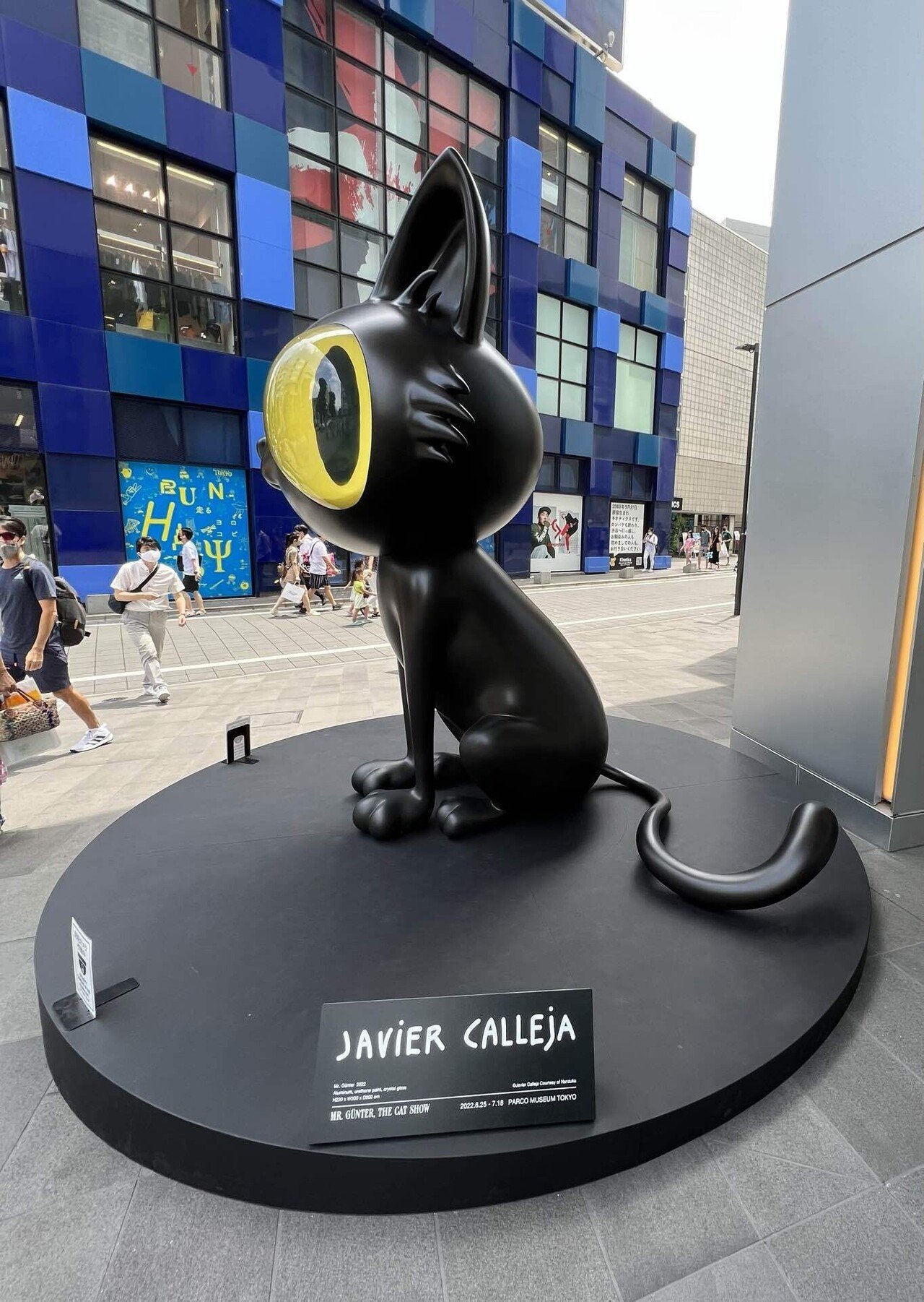Javier Calleja（ハビア・カジェハ）と、黒猫と。叔母の愛猫と。甘々と