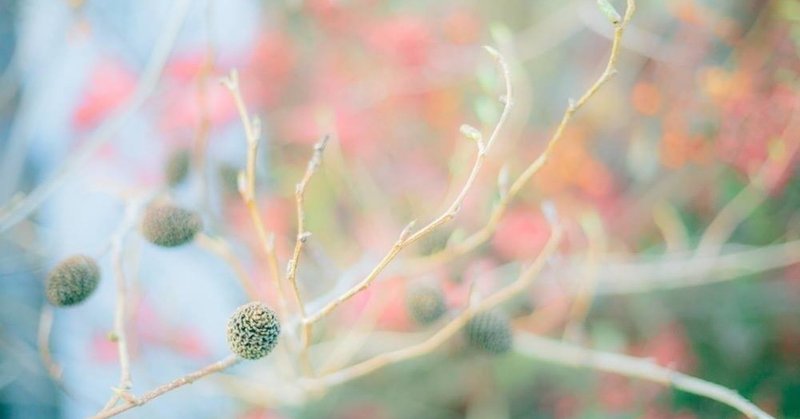 詩を書く人が伝えたいこと 青木詠一 note