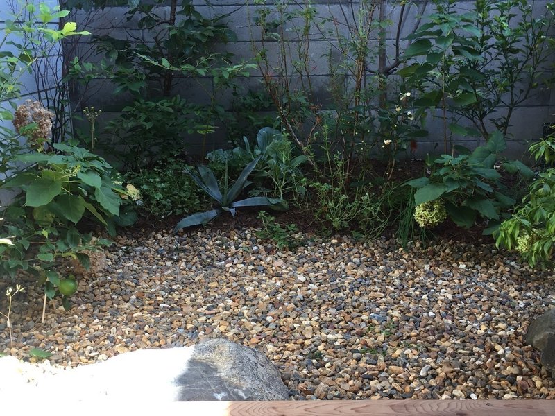 木の植え方 平屋私庭日記 4 ライツ社 木の植え方 平屋私庭日記 4 ライツ社