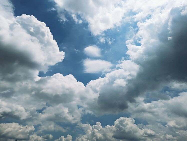 散歩中、空を見上げたら雲がいっぱいでした☁*°