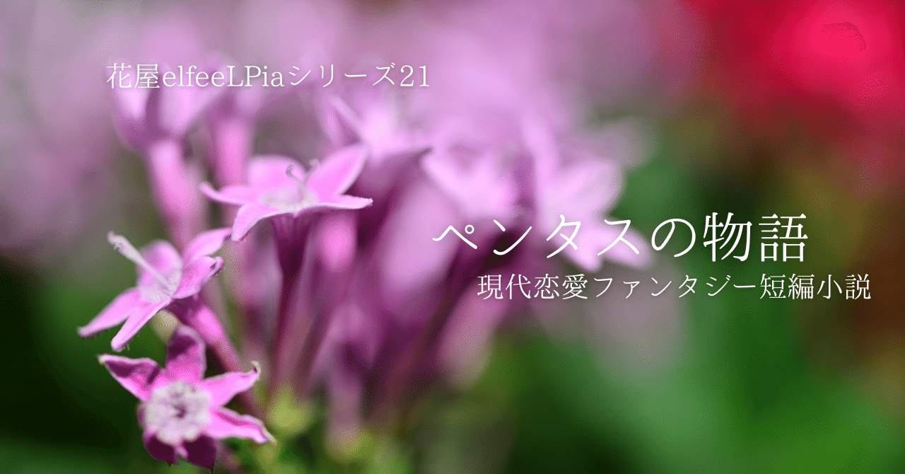 現代恋愛ファンタジー短編小説 ペンタスの物語 花屋elfeelpiaシリーズ21 吉野亜由美 素人物書き メンバーシップ始めました Note