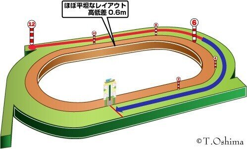 札幌競馬場100年史