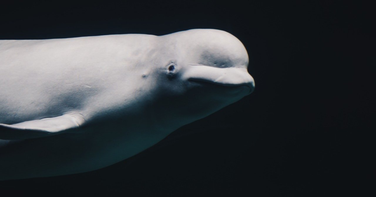 前回のあらすじ 三宅つの バランスをとる 三宅つの Note 前回のあらすじ 三宅つの バランスをとる 三宅つの Note