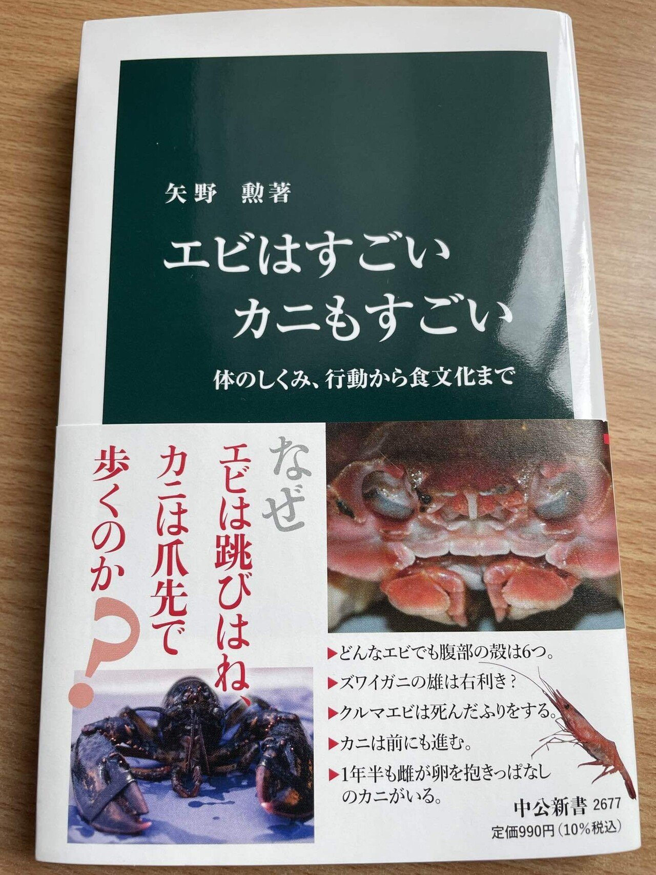 魚専用の書店「SAKANA BOOKS」に行ってきた♫｜稲垣湧斗