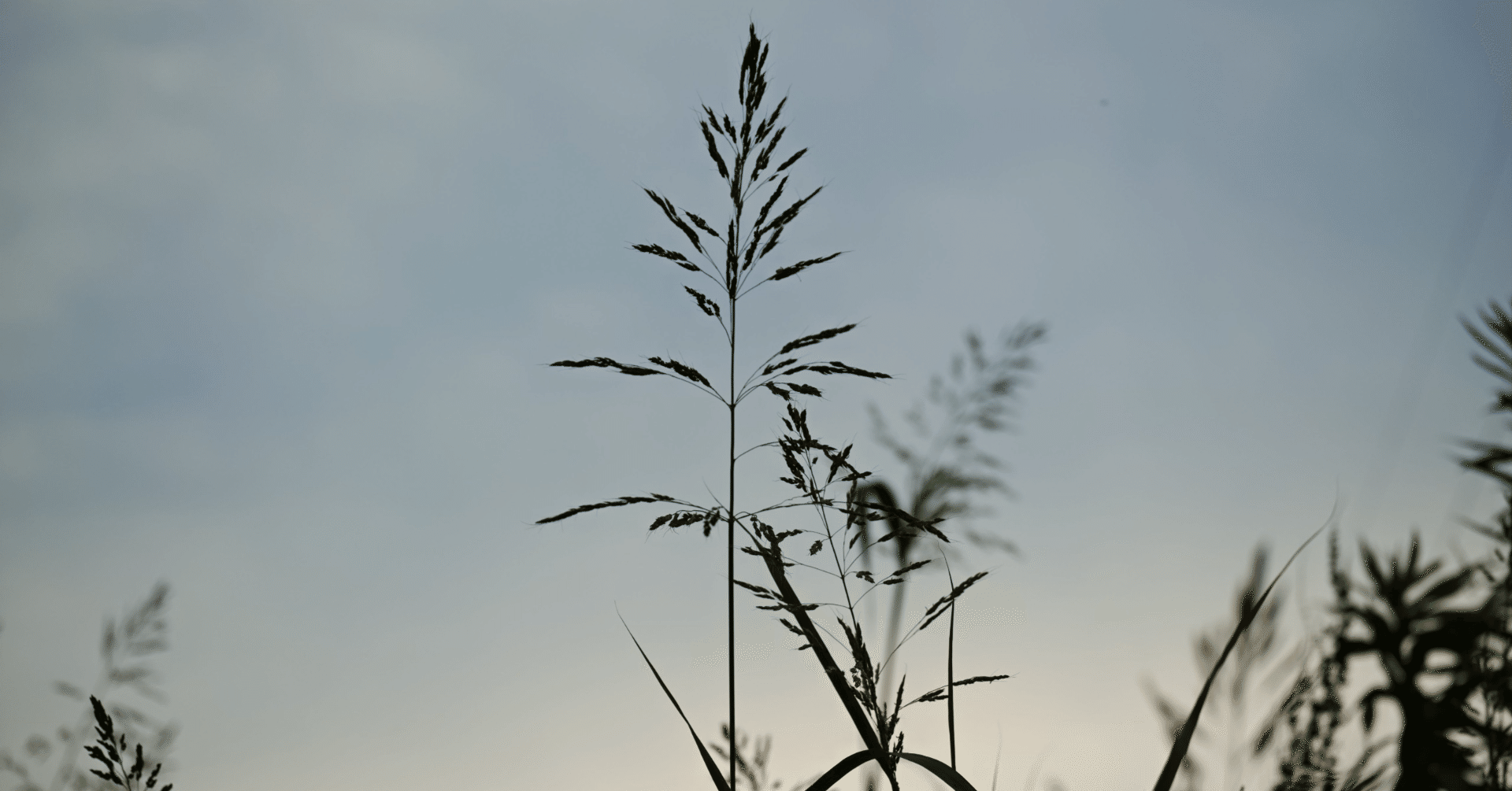 クソ生意気な記事書いてしまった 本当の世界大会はどれなのか Kanta Note