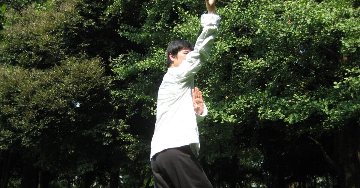 八卦掌使用法/閻徳華/八掌の使用法を詳細に解説し360の手を図解