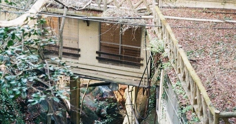 妖怪と小説家は廃屋に住む。