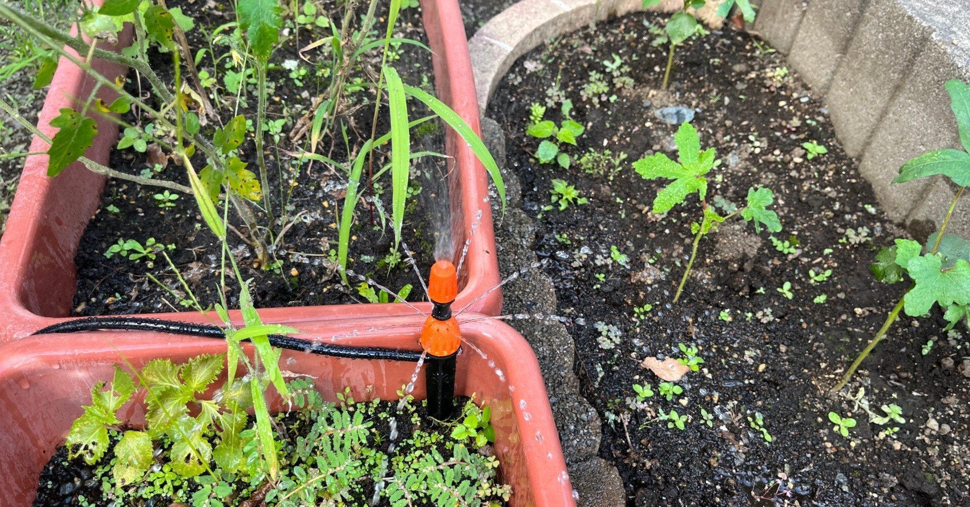 4afc8ef0302b1d304401fd7307fcb6