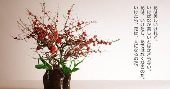 41ddab5d93f75c24d428472aedb429