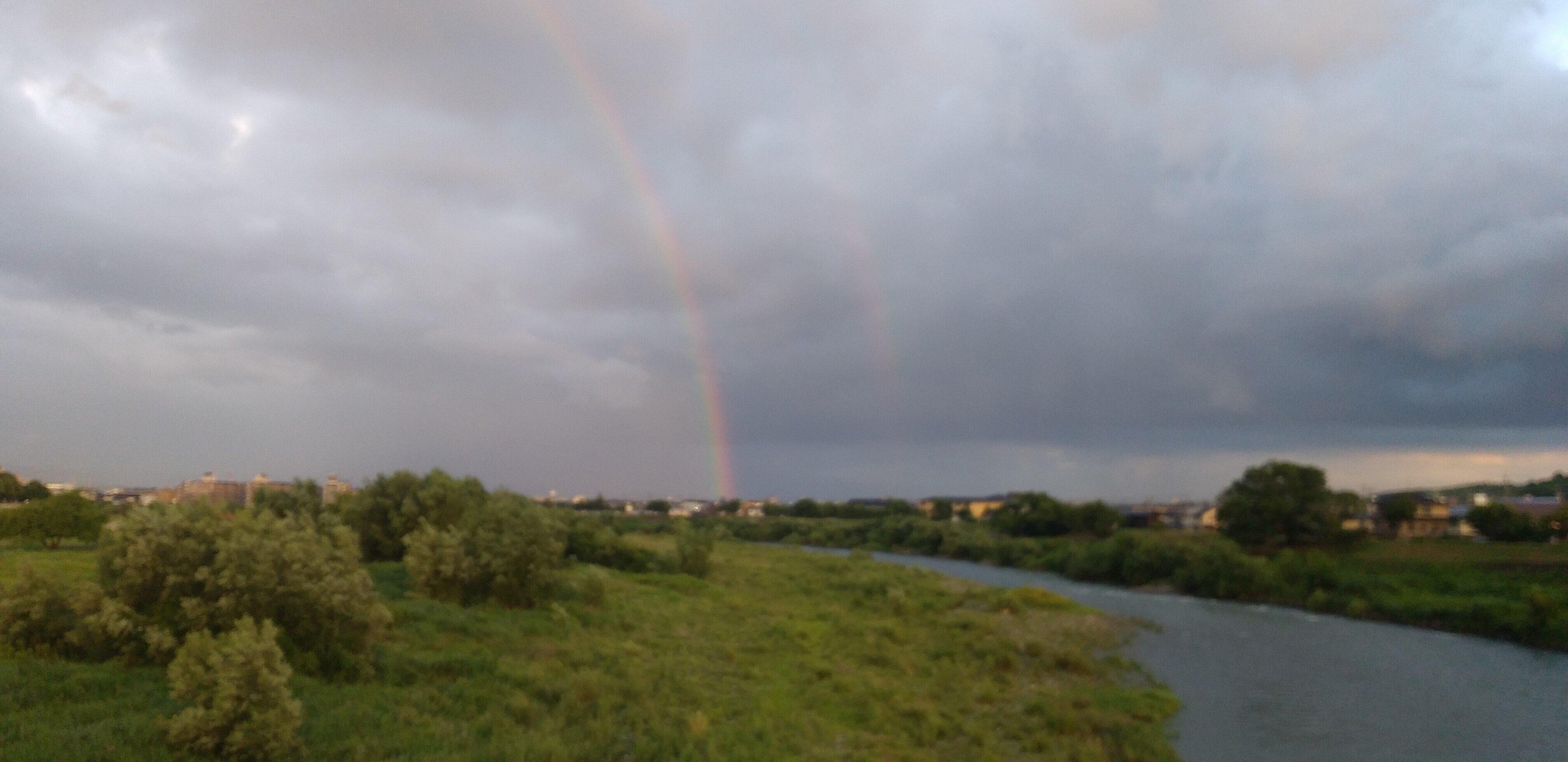 ニューヨーク州 の新着タグ記事一覧 Note つくる つながる とどける