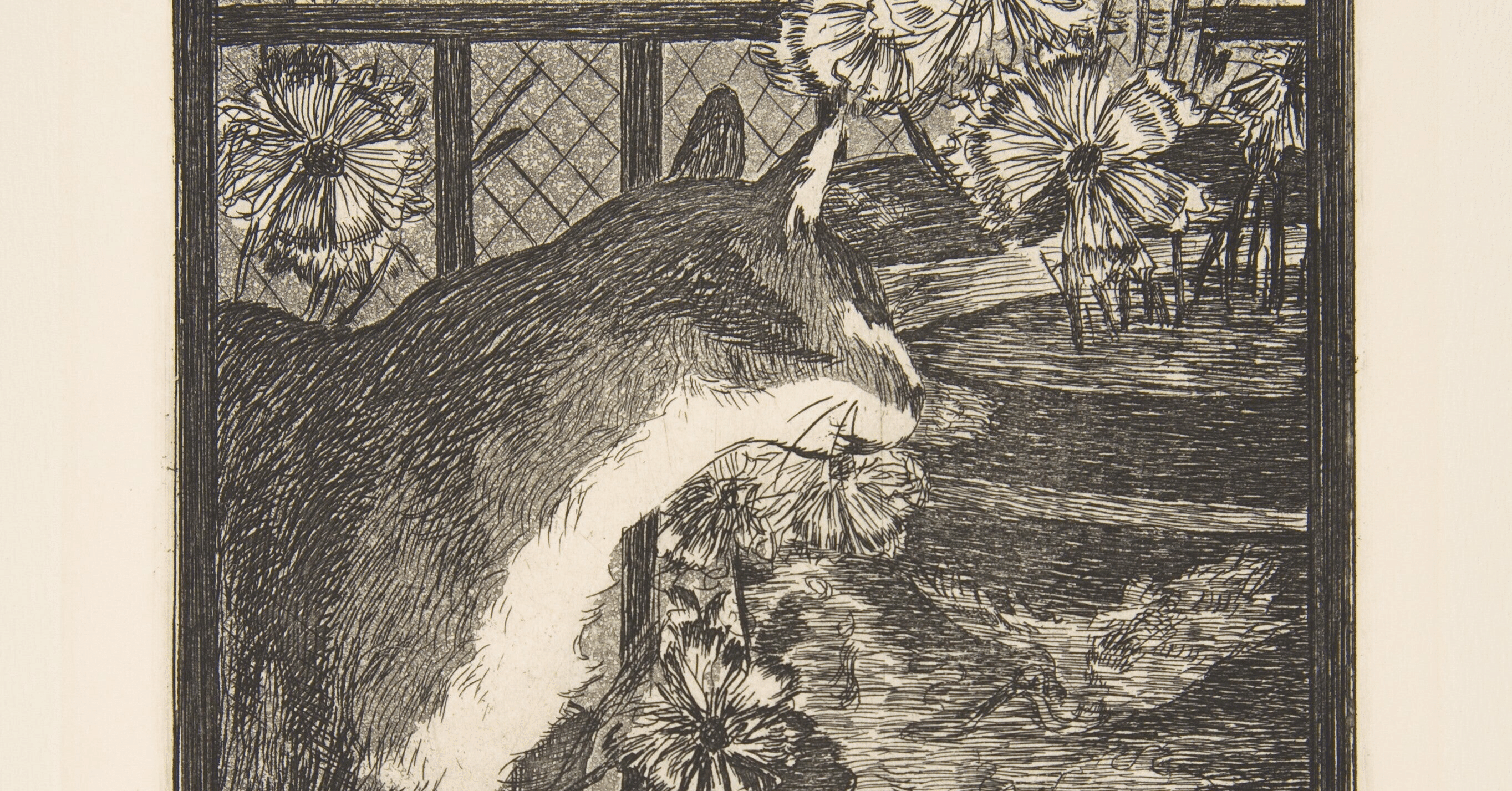 星の王子様「キツネの秘密」を翻訳してみた。｜われも こう