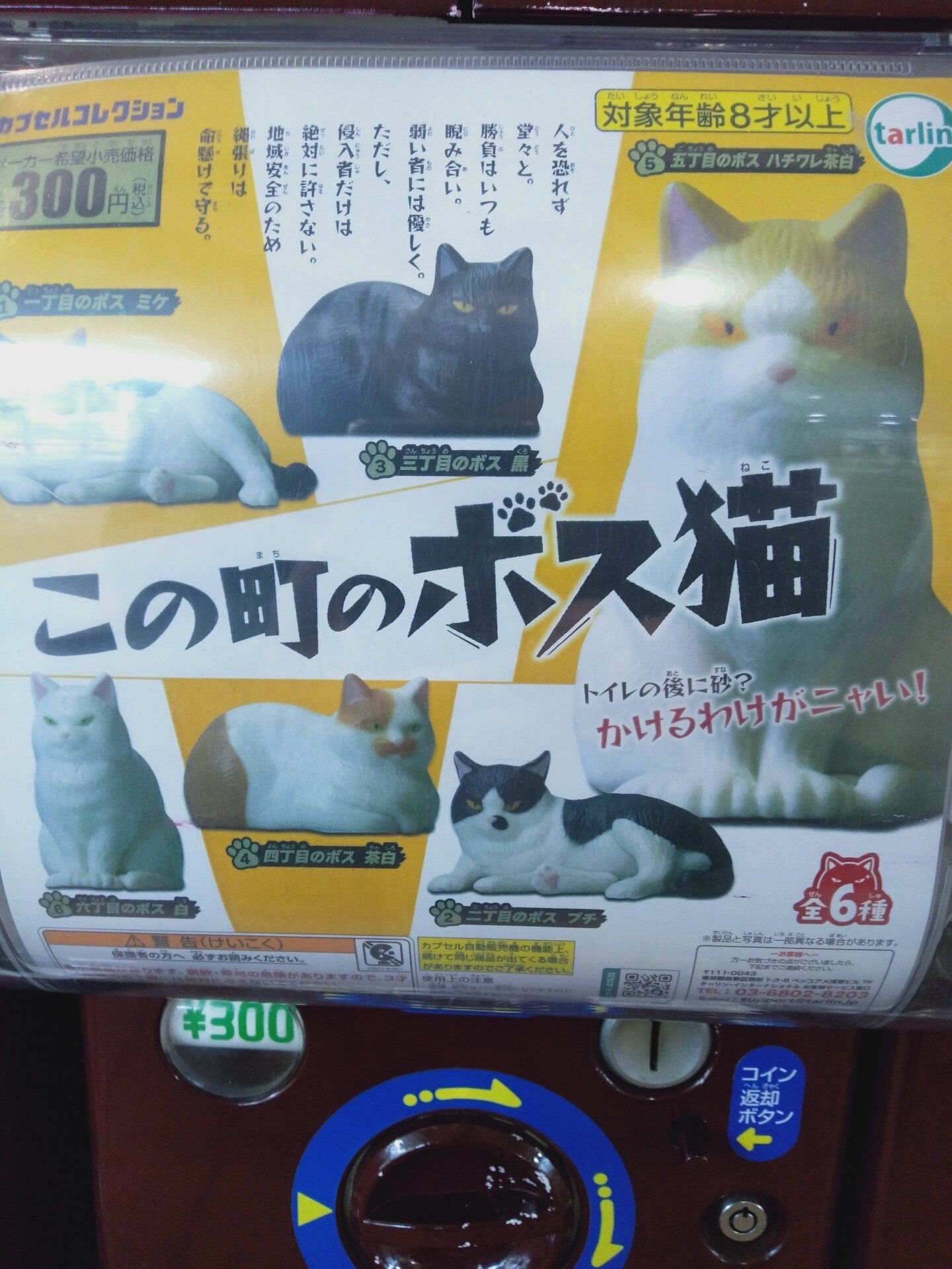 ボス猫 の新着タグ記事一覧 Note つくる つながる とどける