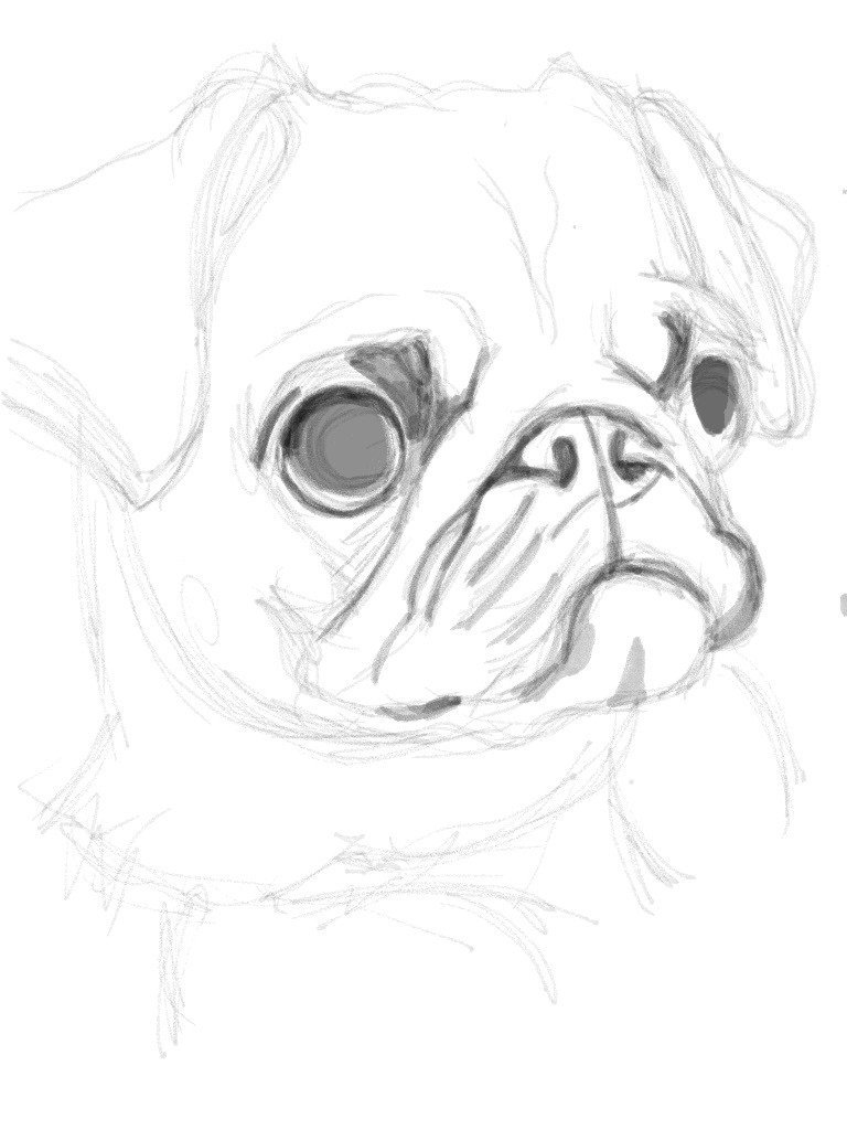 ひたすらパグを描く日々 ケンスケ コバヤシ パグ ピース Note