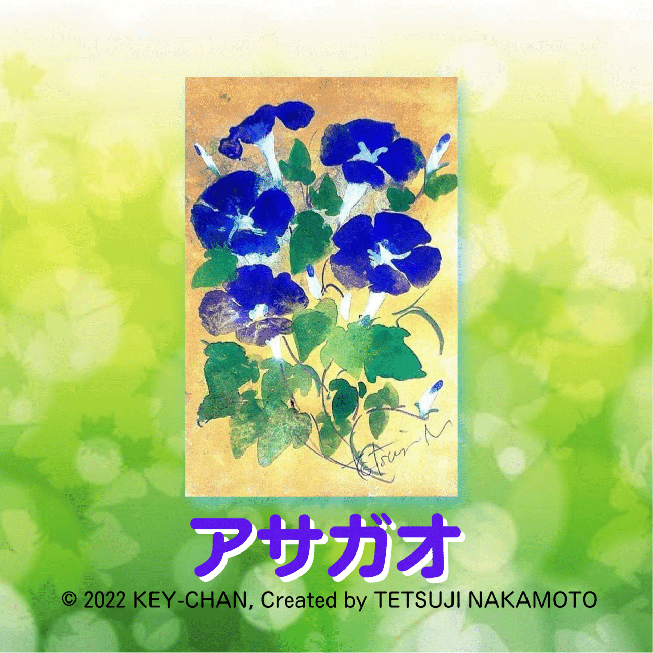 アサガオは 7月24日の誕生日花です Key Chan Note