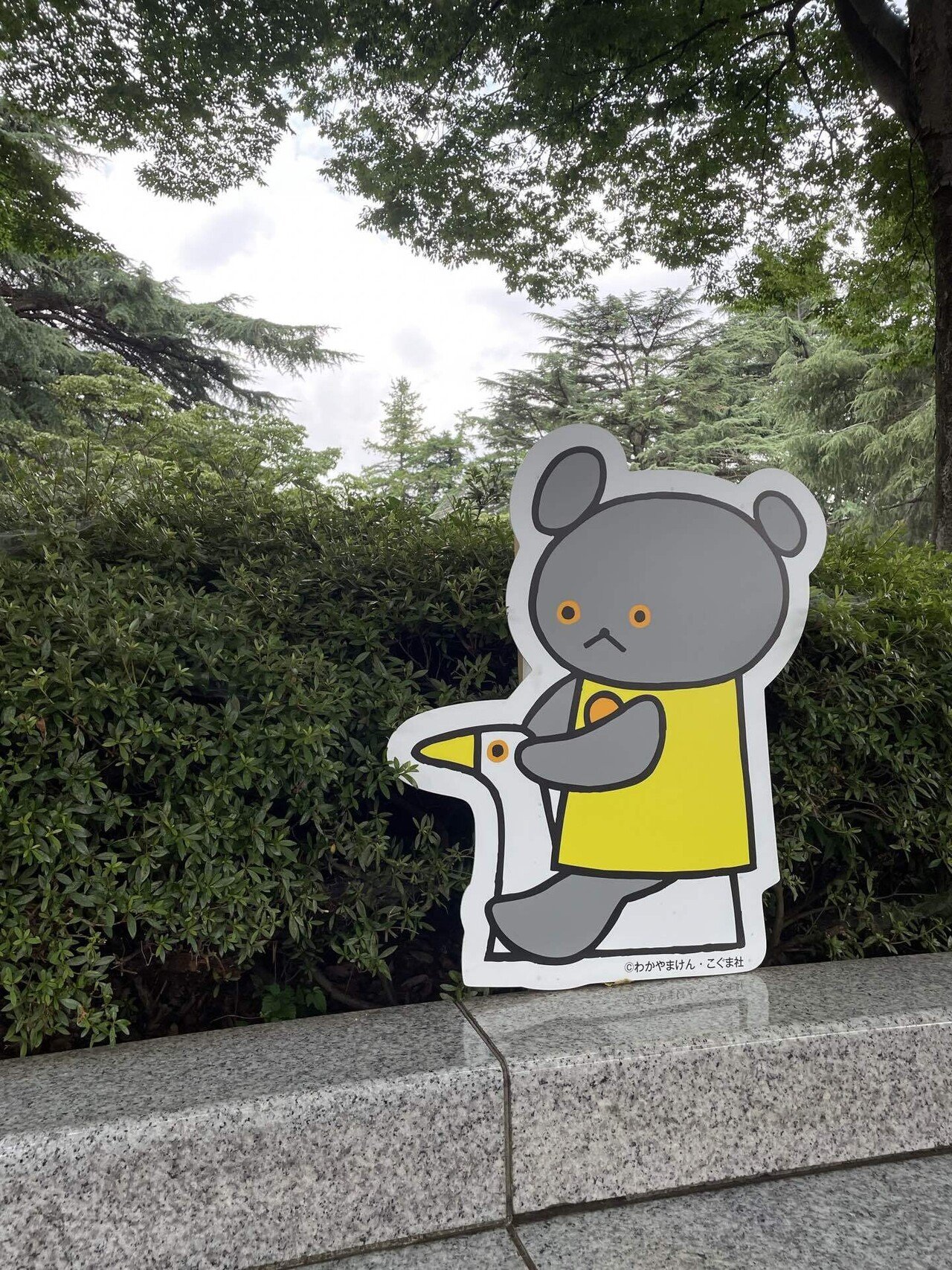 こぐまちゃんとしろくまちゃん｜理央