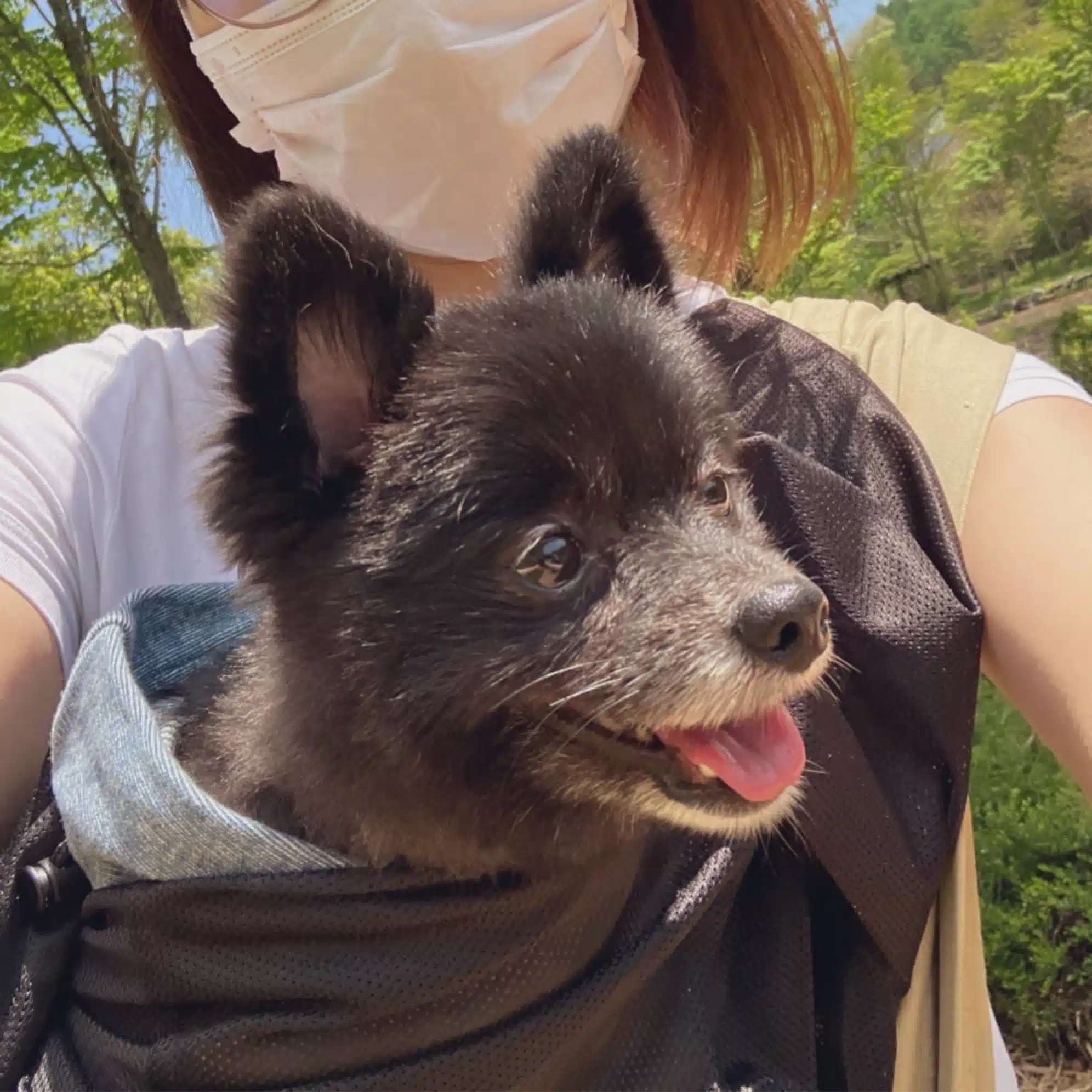 ぽやぽや主婦