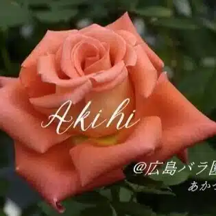 燁姫(あきひ)