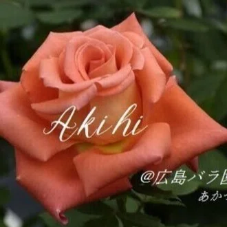 燁姫(あきひ)