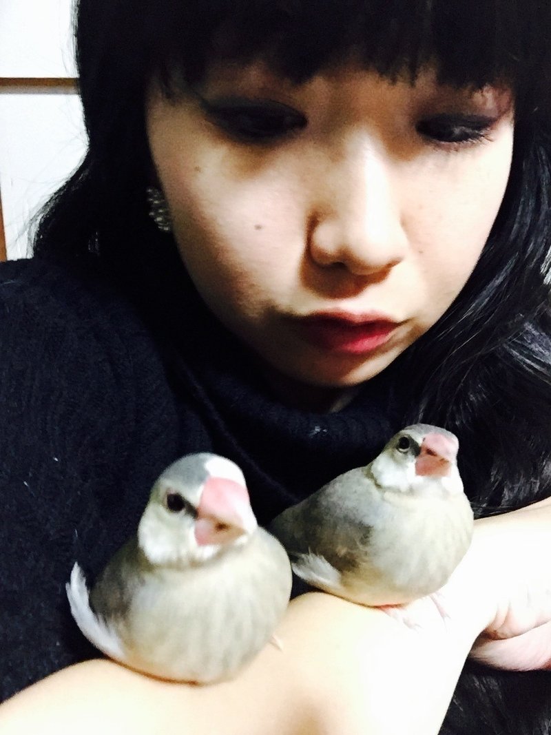 縁も所縁もない男が中国モンゴル自治区で日本人初の結婚式を挙げてきた話 Nobu Note 縁も所縁もない男が中国モンゴル自治区で日本人初の結婚式を挙げてきた話 Nobu Note