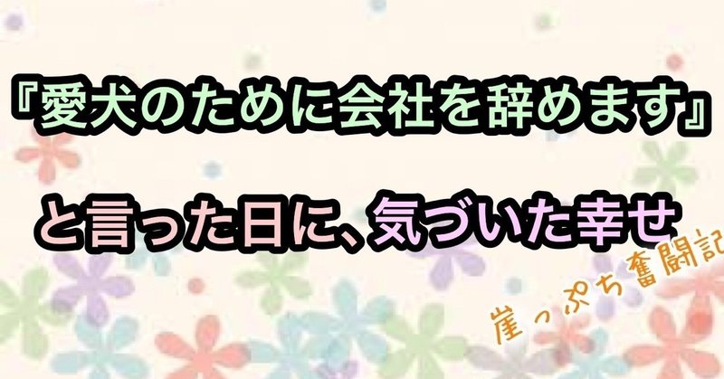 『愛犬のため、会社を辞めます』と言った日に、気づいた幸せ