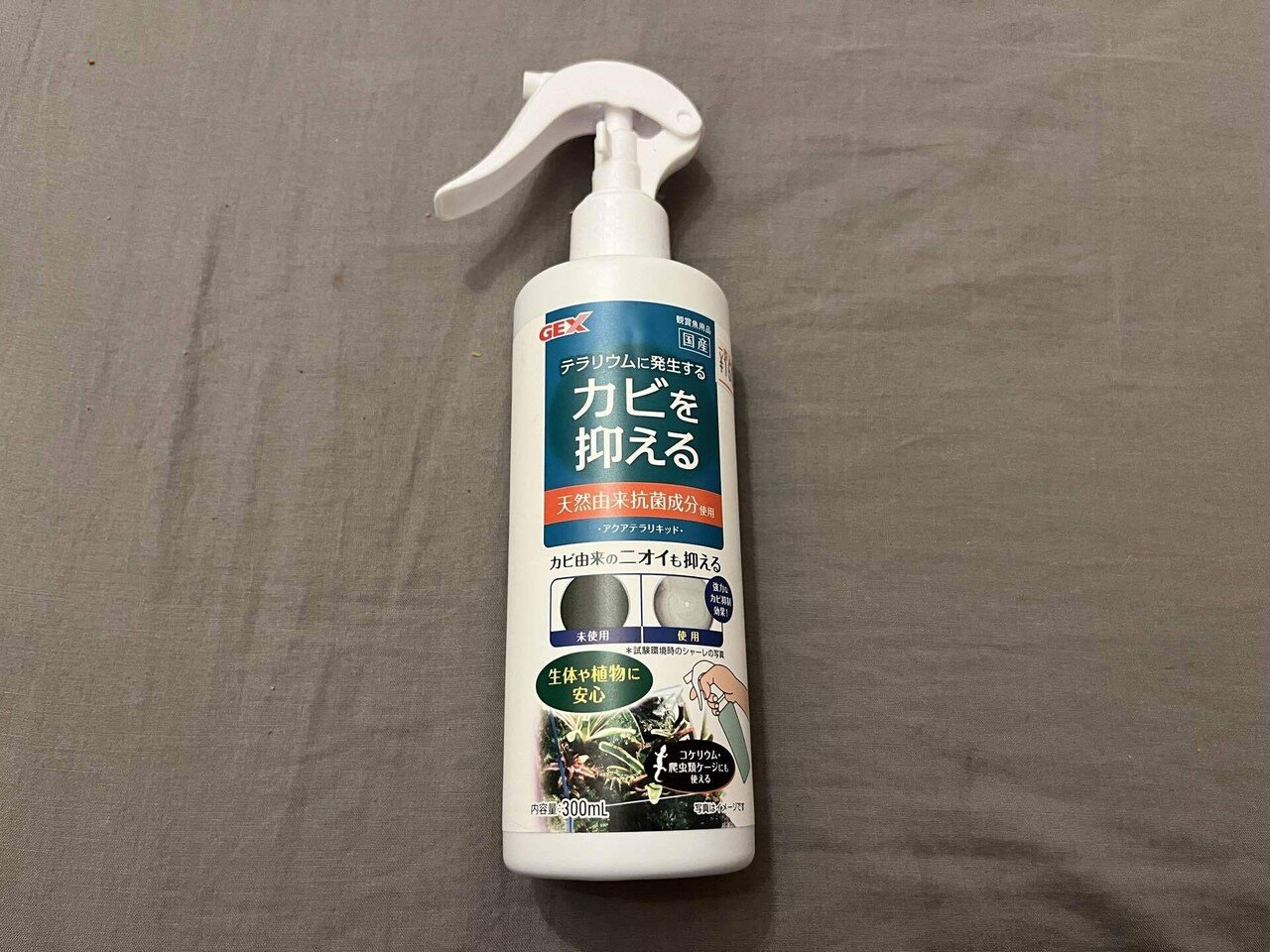 オカヤドカリを飼ってみよう 7687 Note オカヤドカリを飼ってみよう 7687 Note
