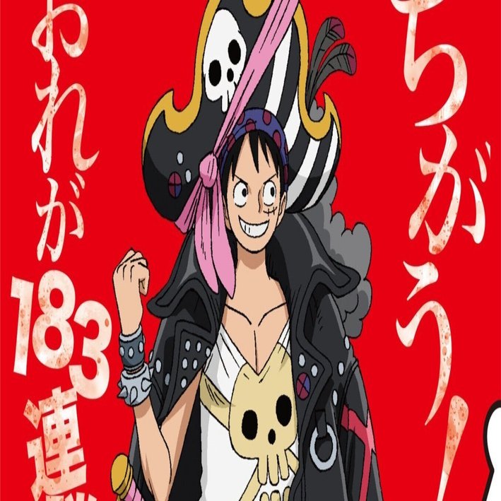 ワンピース ルフィ&ゾロ
