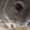 ネオばた