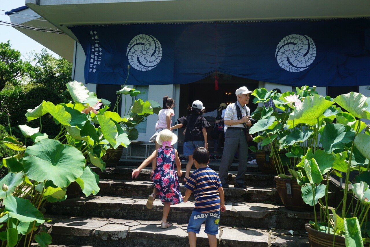 島村達彦、【林の春】、希少な額装用画集より、新品額装付 0ecbe7b5a9dd8e892314648d934c0f