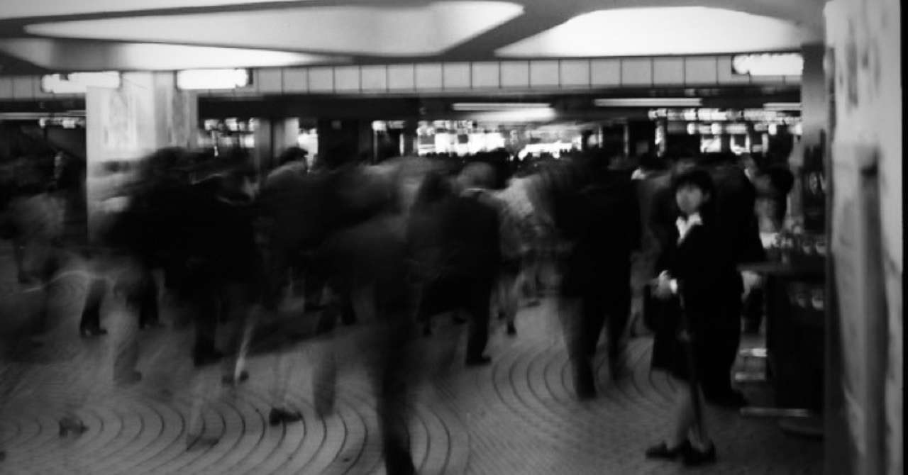 写真_2011-01-12_19_45_28