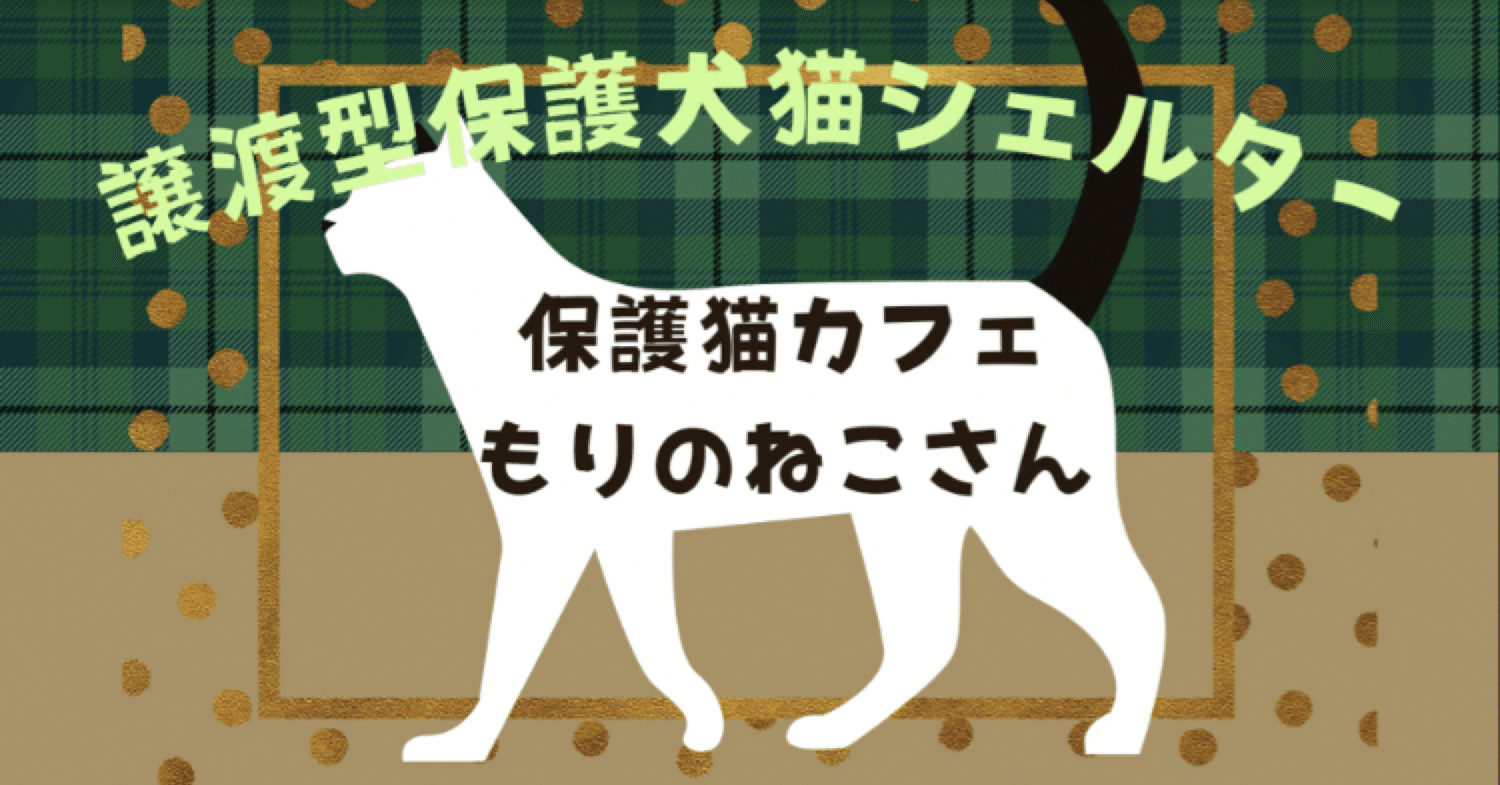 保護猫カフェに行って来ました 北九州市市民活動サポートセンター Note