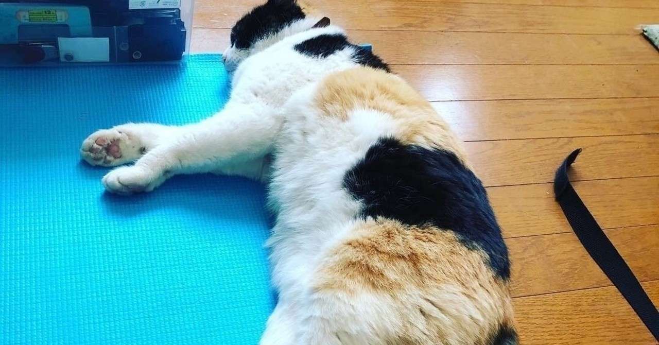 自律神経失調症やパニック障害に対して軒並みヨガがすすめられている