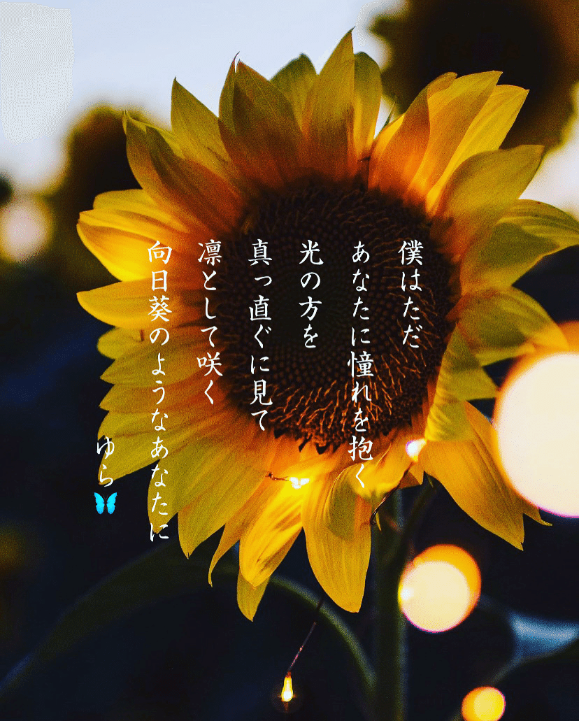言葉 ポエム 詩 Yura Note