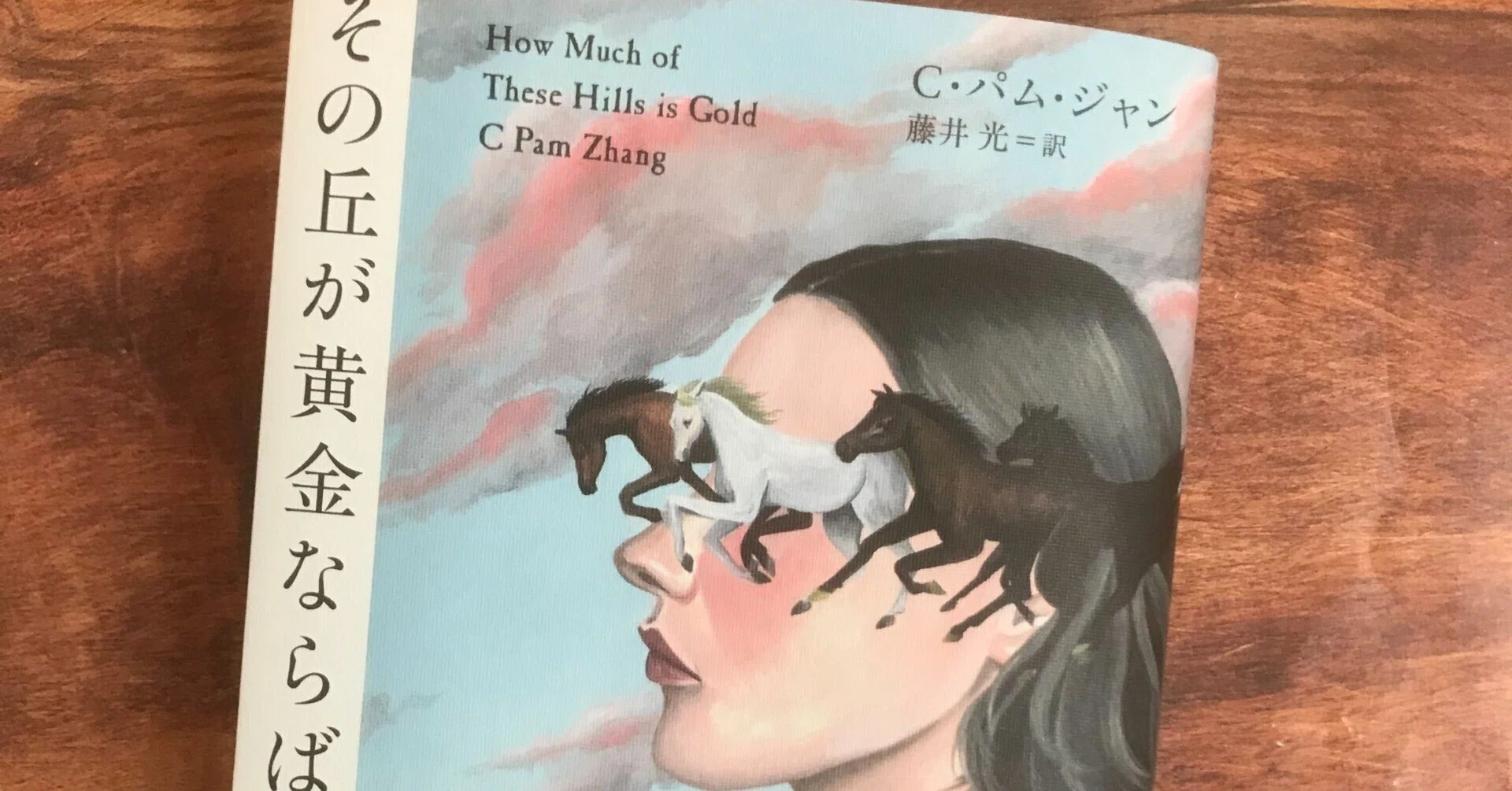 中国系移民の一家の喪失と再生を描いたブッカー賞候補作『その丘が黄金