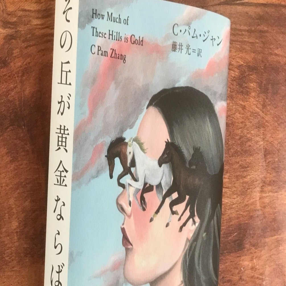 最高級 中国系移民の一家の喪失と再生を描いたブッカー賞候補作『その丘 文学・小説