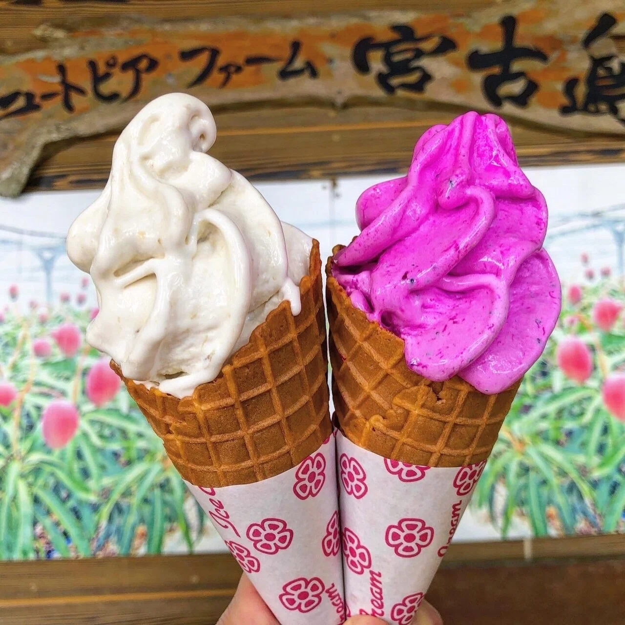 沖縄県】宮古島のソフトクリームガイド｜プロソフトクリーマー森川