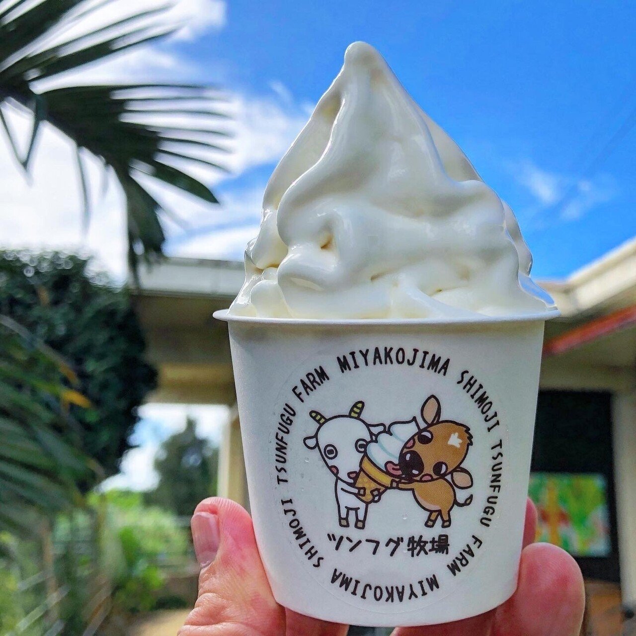 沖縄県】宮古島のソフトクリームガイド｜プロソフトクリーマー森川