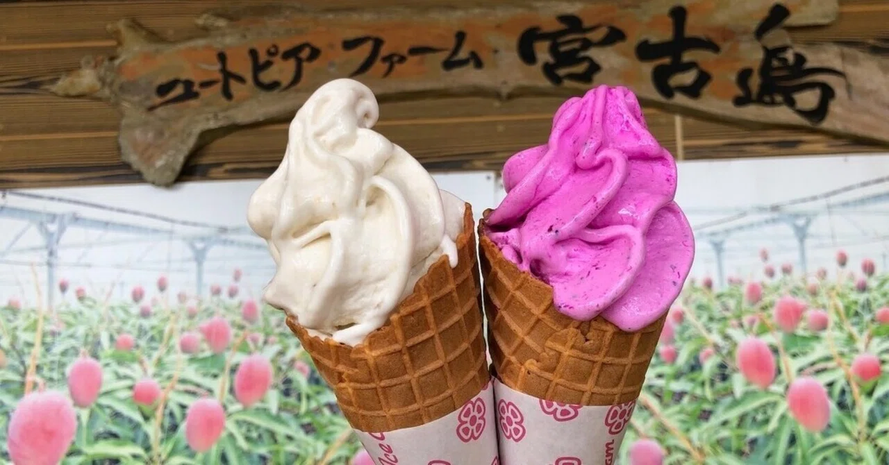 美品！宮古島ソフトクリームメーカーSALE 沖縄県】宮古島のソフトクリームガイド｜プロソフトクリーマー森川