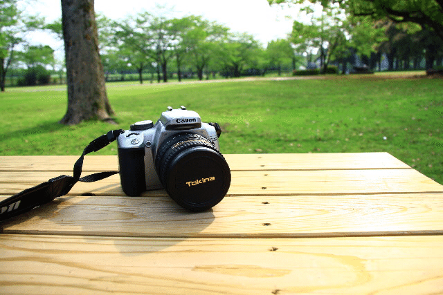 希少！カメラ好き必見です！ 買って良かったZf！今年も存分にZfを楽しみます！Nikonトーク